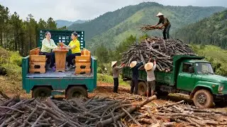 Truck Transport of Sister’s Tables & Chairs to Market, 1 Tons Firewood on Hill | Tieu Hue Daily