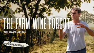 Loire Valley, Cabernet Franc & a Spirit of Resilience with Nicolas Grosbois