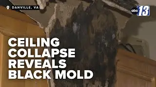 Mom of 5 seeks help after ceiling collapses in apartment exposing black mold