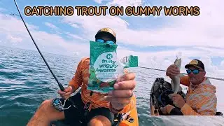 CAN YOU CATCH FISH IN TAMPA BAY WITH GUMMY WORMS? CATCH & COOK