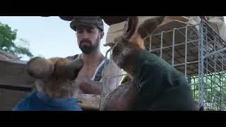 Peter s Pals Get Captured   Peter Rabbit 2  The Runaway