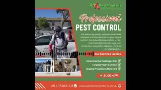Professional Pest Control Services with A1 Pest Control Canberra