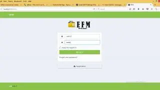 efm install