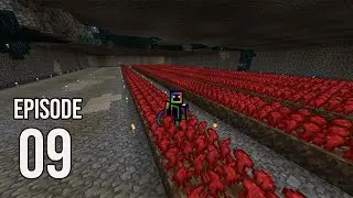 Farming Netherwart