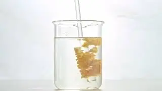 Wellgreen Broccoli Seed Extract: Instant Dissolution, Pure Power
