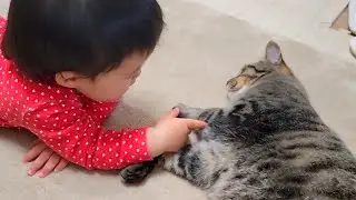 猫が教えてくれた“大切なこと”を、1歳児がちゃんと受け取った瞬間に涙が出ました...。