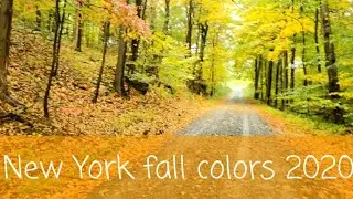 Hiking Black Rock Forest | Local history