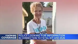 Helen Booth hit-and-run followup