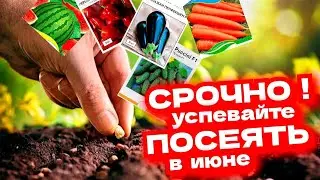 ЧТО СЕЯТЬ В ИЮНЕ!