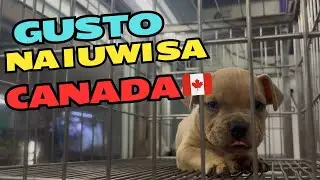Cartimar Pet Market Tour | Team Fracer in Pinas| Pinoy in Canada