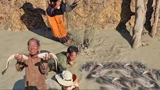 Traditional Mud Fishing: Villagers Collecting Fish by Hand