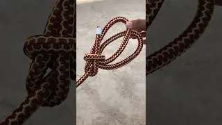 How To Tie A Double Loop Bowline? 👌