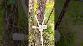 99%People Do Not Know This Knot !#camping #knot #rope #knotting #climbing ##shorts