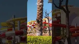 Iberotel Red Sina Resort Sharm El Sheikh