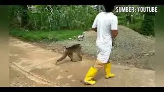 STIB CIPTAKAN SISWA TERBAIK 