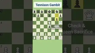 Tennison Gambit | How to get better at chess
