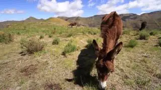Lesotho Ultra Trail