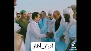 اجمل ما قيل عن معاوية! الفنان اعل سالم