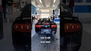 Mustang GT is a STEAL at this auto auction 🤯