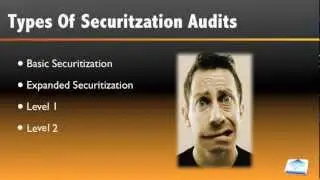 Securitization Audits VID