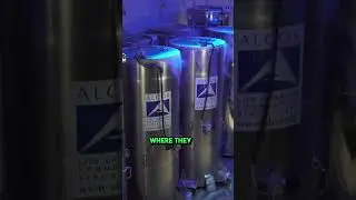 Dark secret: Freezing 100+ deceased people in the USA