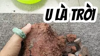 Đổ thạch bật ngửa luôn cả nhà ạ