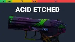 P2000 Acid Etched - Skin Float And Wear Preview