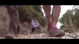 ΤΟ ΦΑΡΑΓΓΙ ΤΟΥ ΡΙΝΤΟΜΟΥ