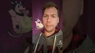 Swiss Pokemon Team