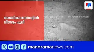 കണ്ണൂർ അടയ്ക്കാത്തോട്ടിൽ വീണ്ടും പുലിയിറങ്ങി; ദൃശ്യങ്ങൾ | CCTV | Kannur | Leopard