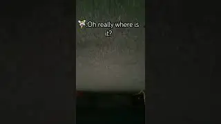Where is the chair?