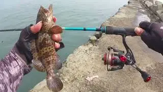 cara mancing ikan kerapu