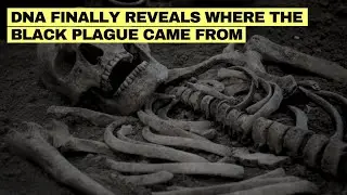 New DNA Evidence Changes Everything About the Black Death's Origin!