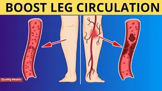 Top 8 Foods To Boost Leg & Foot Circulation Instantly! | Chromosomium