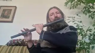 3D printed Irish flute. 