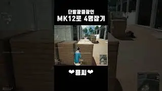 MK12 단발광클^^7  #배그 #묭씨