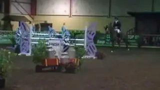 Sean Mulkern Irish Sport Horses -Kylebrack Clover (sold)