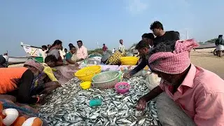 பொங்கலுக்கு அடுத்த நாள் எனக்கு அடுத்த ஜாக்பட்  The day after Pongal, I got my next jackpot.