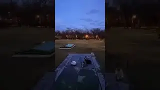 cats in park #relaxingmusic #piano #winter #cold #catshorts