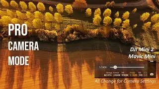 DJI Mini & Mini 2: Pro Camera Mode & Your full Manual Camera Settings tutorial