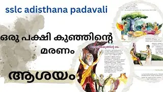 ഒരു പക്ഷി കുഞ്ഞിന്റെ മരണം #ashayam
