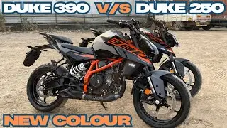 NEW KTM DUKE 390 { V/S }KTM DUKE 250 😍SHORT REVIEW #ktmbike #ktmduke