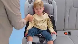 Maxi-Cosi I Titan Pro i-Size I How to install your toddler in the Titan Pro i-Size with the harness