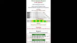 Meaning of STR Marker    #geneticteacher