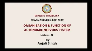 Pharmacology-I | Organization & Function of Autonomic Nervous System | AKTU Digital Education