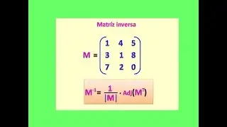 Matr&iacute;z inversa, adjunta y traspuesta