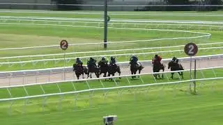 Latakia jumpout at Doomben - 1 February 2022