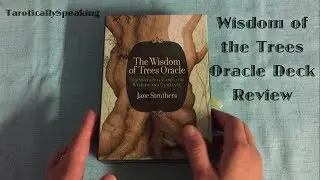 Wisdom of the Trees Oracle Deck Review