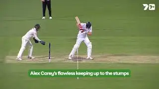 Alex Carey's impressive glow work up to the stumps for the quickies.