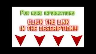 WSO Cash Code Review